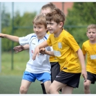 2015-05-31 Spiders Cup Krapkowice 2015 fot. Mirosław Szozda