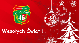 Wesołych Świąt !