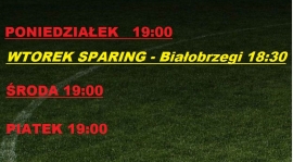 /// TRENINGI /// SPARING ///