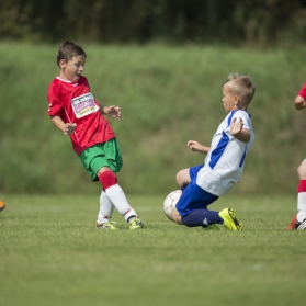Turniej w Wiesenau 05.07.2015r.