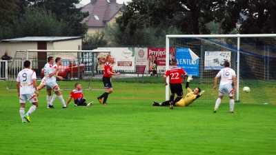 Pewne zwycięstwo Niwy
