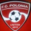 Polonia United Clifton