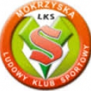Strażak Mokrzyska