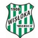 Wisłoka Dębica