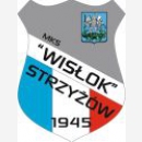 Wisłok Strzyżów