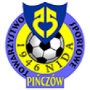 Nida Pińczów