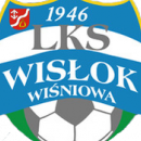 Wisłok Wiśniowa