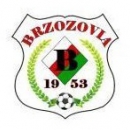 Brzozovia ALTA MOSiR Brzozów