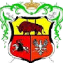 Żubr Drohiczyn