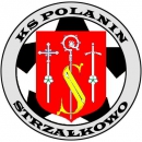 Polanin Strzałkowo