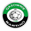 Gazownik Wawelno