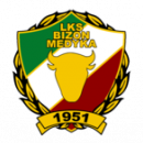 Bizon Medyka