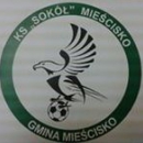 Sokół Mieścisko