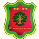 Dąb Potulice