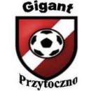 Gigant Przytoczno