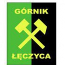 Górnik Łęczyca