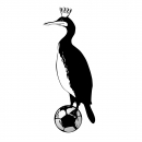 Kormoran