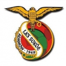 Sokół Adamów