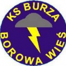 Burza Borowa Wieś