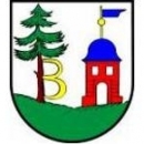 Sokół Bralin