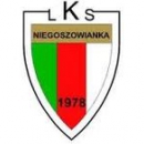 Niegoszowianka Niegoszowice