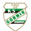 Górnik Sosnowiec