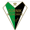 Górnik Wojkowice