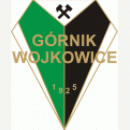Górnik Wojkowice