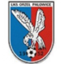 Orzeł Palowice