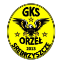 Orzeł Srebrzyszcze