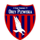 Orły Plewiska