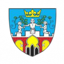 Warta Pyzdry