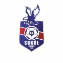 Sokół Pniewy