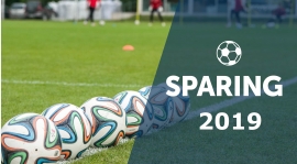 SPARINGI 2019