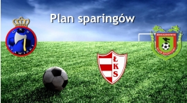 Plan gier kontrolnych