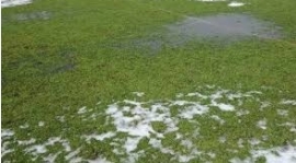Spotkanie ze Świerklanami jednak 25.04.2018 roku !!!