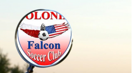 Polonia Falcon pod lupą !