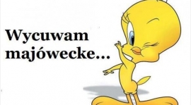 Wolny weekend majowy !