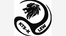 Mecz z Lwem