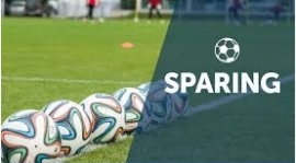 SZCZEGÓŁY SPARINGU Z ELANĄ TORUŃ