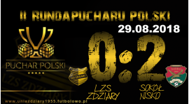 Puchar Polski: LZS Zdziary - Sokół Nisko 0:2.