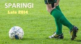 PLAN SPARINGÓW LATO 2014 ! ! !