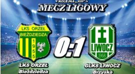 PORAŻKA... ale na POZIOMIE...