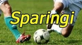 Pierwszy sparing już w niedzielę !!!