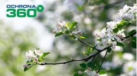 Synthos Agro partnerem Wisły Dziecinów