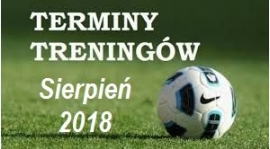 Harmonogram treningów w sierpniu wszystkich grup
