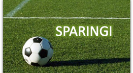 SPARINGI