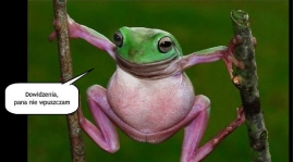 Przedstawiamy naszą kadrę - BRAMKARZE.