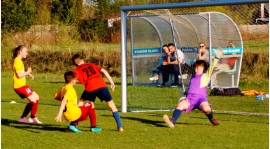 25.04.2019 E1 Orliki Płomień Częstochowa - AS Przystajń 11-4