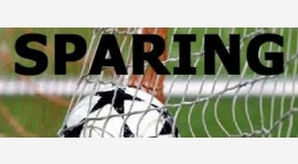 W sobotę sparing